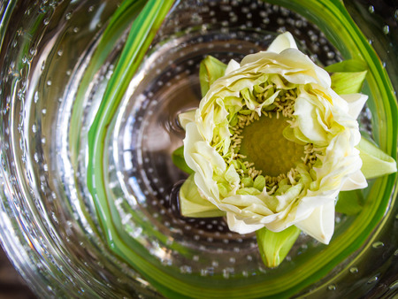 White lotus flower floating in round glass bowlの写真素材
