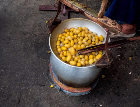 silkworm cocoons shell, source of silk thread and silk fabric.の写真素材