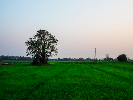 Beautiful natural landscape in the summer time.の写真素材