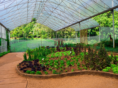 The Royal Agricultural Station Angkhang May 2018 Chiang Mai Thailand.のeditorial素材