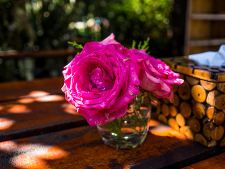 Beautiful rose in vase on table in a garden.の写真素材