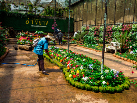The Royal Agricultural Station Angkhang May 2018 Chiang Mai Thailand.のeditorial素材