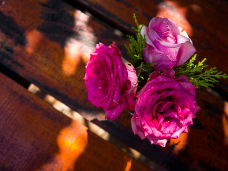 Beautiful rose in vase on table in a garden.の写真素材