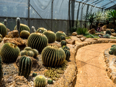 The Royal Agricultural Station Angkhang May 2018 Chiang Mai Thailand.の写真素材