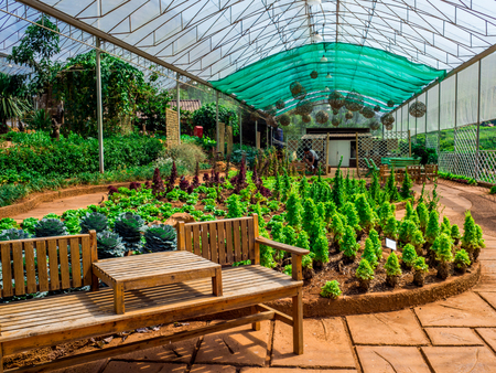 The Royal Agricultural Station Angkhang May 2018 Chiang Mai Thailand.のeditorial素材