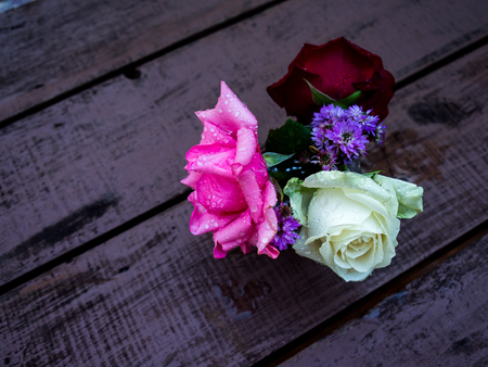 Beautiful rose in vase on table in a garden.の写真素材