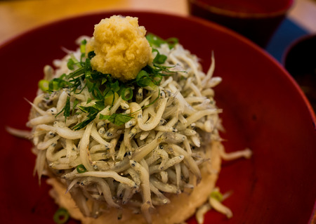 shirasu don(rice topped with Japanese small fish), Kamakuraâs famous food, Japanese food.の写真素材