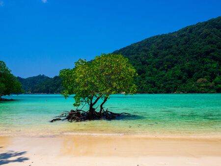 Mai Ngam Beach in Mu Koh Surin National Park, Phang-nga, Thailand