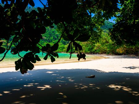 Mai Ngam Beach in Mu Koh Surin National Park, Phang-nga, Thailandの写真素材