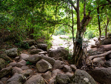 Haew Suwat Waterfall in Khao Yai National Park, THAILAND, April 18, 2019.のeditorial素材