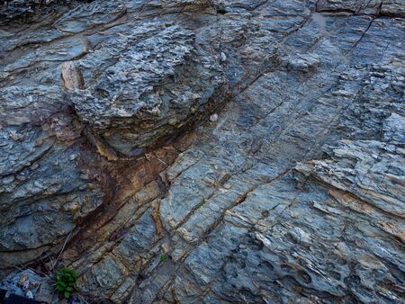 Rocky shore pattern background, Natural background and wallpaper.の写真素材