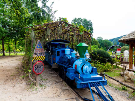 Nami Island, South Korea - Sep 20, 2019. walking in Namiseom Islandのeditorial素材