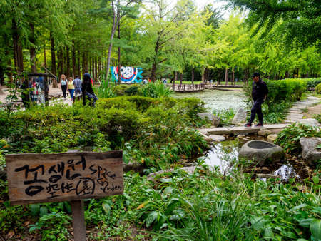Nami Island, South Korea - Sep 20, 2019. People walking in Namiseom Islandのeditorial素材