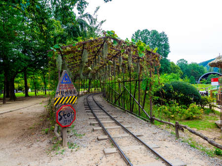 Nami Island, South Korea - Sep 20, 2019. walking in Namiseom Islandのeditorial素材