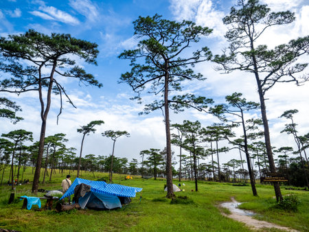 Uttaradit Province, Thailand - July, 24, 2023 : Trekking along the way of Phu Soi Dao National Park, north of Thailand.のeditorial素材