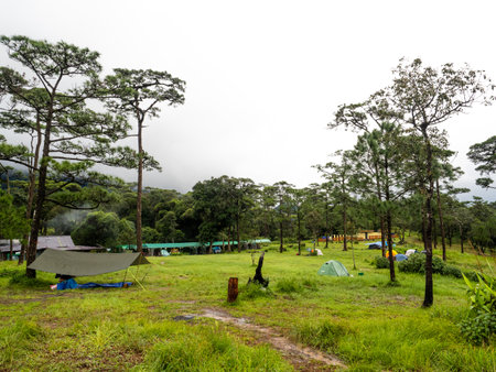 Uttaradit Province, Thailand - July, 24, 2023 : Trekking along the way of Phu Soi Dao National Park, north of Thailand.のeditorial素材