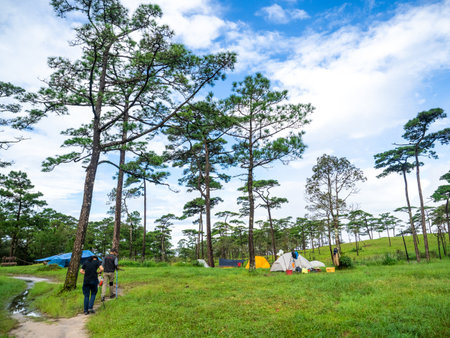 Uttaradit Province, Thailand - July, 24, 2023 : Trekking along the way of Phu Soi Dao National Park, north of Thailand.のeditorial素材