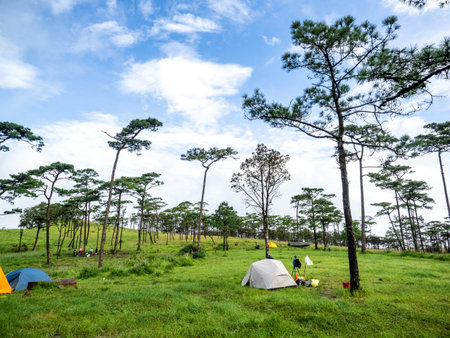 Uttaradit Province, Thailand - July, 24, 2023 : Trekking along the way of Phu Soi Dao National Park, north of Thailand.のeditorial素材
