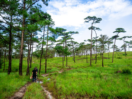 Uttaradit Province, Thailand - July, 24, 2023 : Trekking along the way of Phu Soi Dao National Park, north of Thailand.のeditorial素材