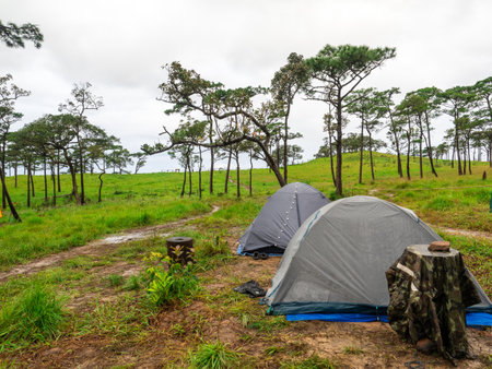Uttaradit Province, Thailand - July, 24, 2023 : Trekking along the way of Phu Soi Dao National Park, north of Thailand.のeditorial素材