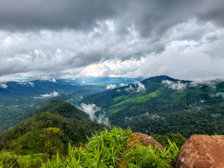Uttaradit Province, Thailand - July, 24, 2023 : Trekking along the way of Phu Soi Dao National Park, north of Thailand.のeditorial素材