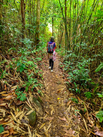 Uttaradit Province, Thailand - July, 24, 2023 : Trekking along the way of Phu Soi Dao National Park, north of Thailand.のeditorial素材