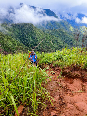 Uttaradit Province, Thailand - July, 24, 2023 : Trekking along the way of Phu Soi Dao National Park, north of Thailand.のeditorial素材