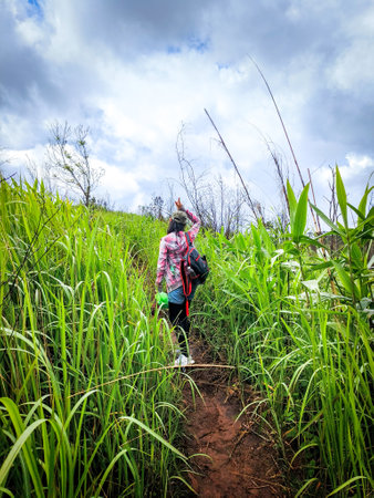 Uttaradit Province, Thailand - July, 24, 2023 : Trekking along the way of Phu Soi Dao National Park, north of Thailand.のeditorial素材