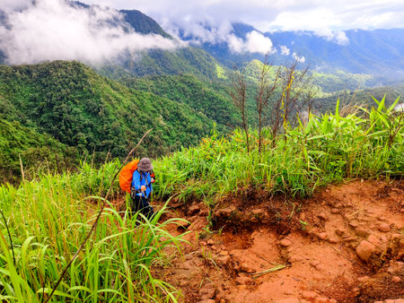 Uttaradit Province, Thailand - July, 24, 2023 : Trekking along the way of Phu Soi Dao National Park, north of Thailand.のeditorial素材