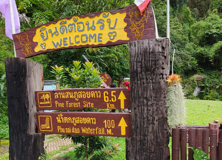 Uttaradit Province, Thailand - July, 24, 2023 : Trekking along the way of Phu Soi Dao National Park, north of Thailand.のeditorial素材