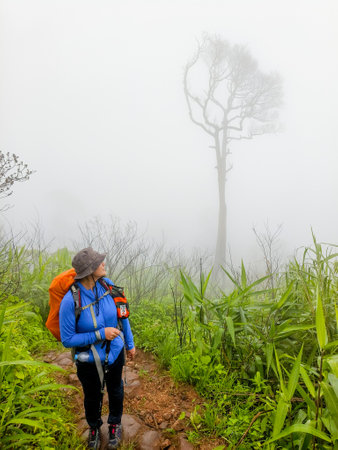 Uttaradit Province, Thailand - July, 24, 2023 : Trekking along the way of Phu Soi Dao National Park, north of Thailand.のeditorial素材