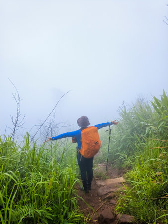 Uttaradit Province, Thailand - July, 24, 2023 : Trekking along the way of Phu Soi Dao National Park, north of Thailand.のeditorial素材