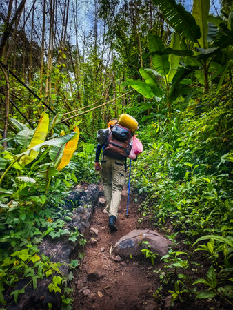 Uttaradit Province, Thailand - July, 24, 2023 : Trekking along the way of Phu Soi Dao National Park, north of Thailand.のeditorial素材