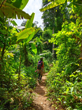 Uttaradit Province, Thailand - July, 24, 2023 : Trekking along the way of Phu Soi Dao National Park, north of Thailand.のeditorial素材