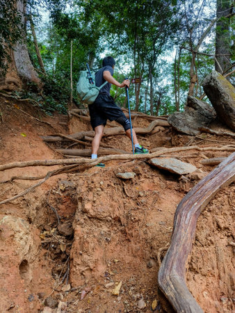 Tracking on Ramkhamhaeng National Park or we call Khao Luang Sukhothai, Thailandの写真素材