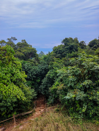 Tracking on Ramkhamhaeng National Park or we call Khao Luang Sukhothai, Thailandの写真素材