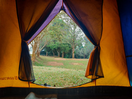 Camping area and tentの写真素材