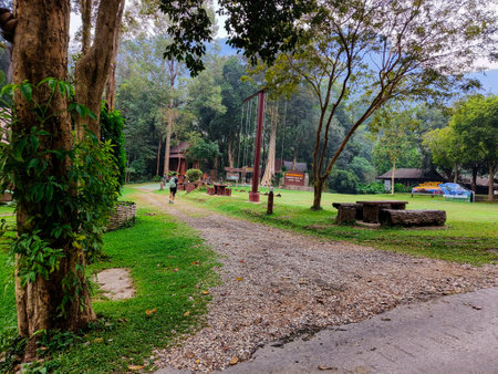 Tracking on Ramkhamhaeng National Park or we call Khao Luang Sukhothai, Thailandの写真素材