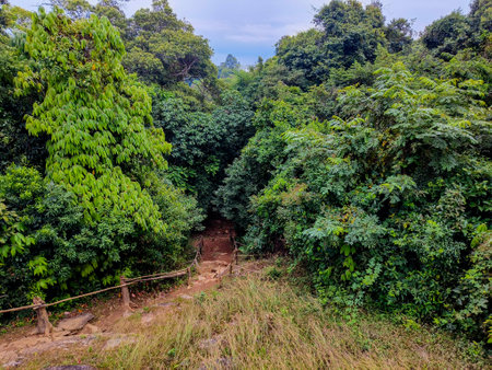Tracking on Ramkhamhaeng National Park or we call Khao Luang Sukhothai, Thailandの写真素材