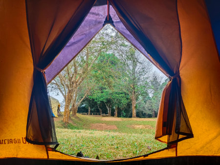 Camping area and tentの写真素材
