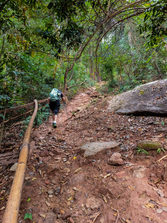 Tracking on Ramkhamhaeng National Park or we call Khao Luang Sukhothai, Thailandの写真素材