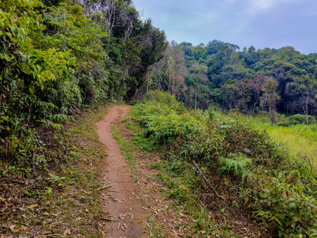 Tracking on Ramkhamhaeng National Park or we call Khao Luang Sukhothai, Thailand