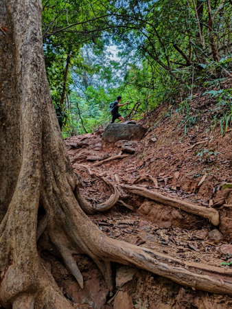 Tracking on Ramkhamhaeng National Park or we call Khao Luang Sukhothai, Thailandの写真素材
