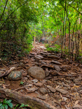 Tracking on Ramkhamhaeng National Park or we call Khao Luang Sukhothai, Thailand