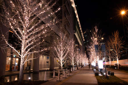 A tree-lined road with champagne gold illumination/February 11, 2020, Umeda, Osaka, Japan
