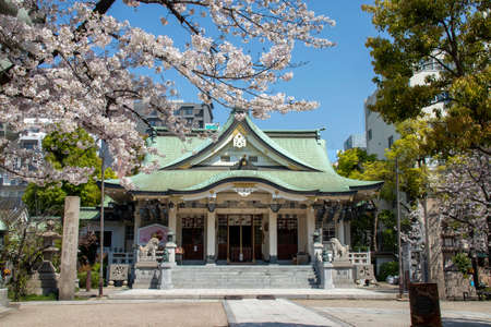 Namba Yasaka Shrine / April 4, 2020 Osaka City, Osaka Prefecture, Japanのeditorial素材
