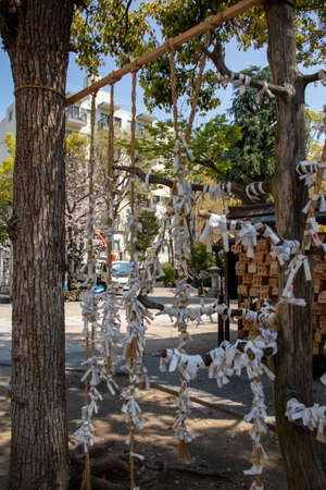 @Omikuji@ at Namba Yasaka Shrine / Fortune or bad luck in Omikuji, and the solution is written in Japanese/ April 4, 2020 Osaka City, Osaka Prefecture, Japanのeditorial素材