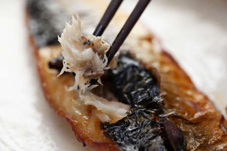 Grilled fish salt mackerelの写真素材