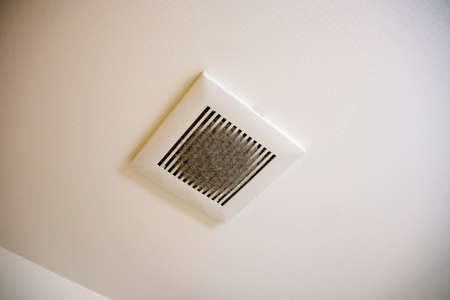 Dust on the indoor exhaust fan from not cleaning it.