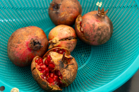 Pomegranates in a plastic colander